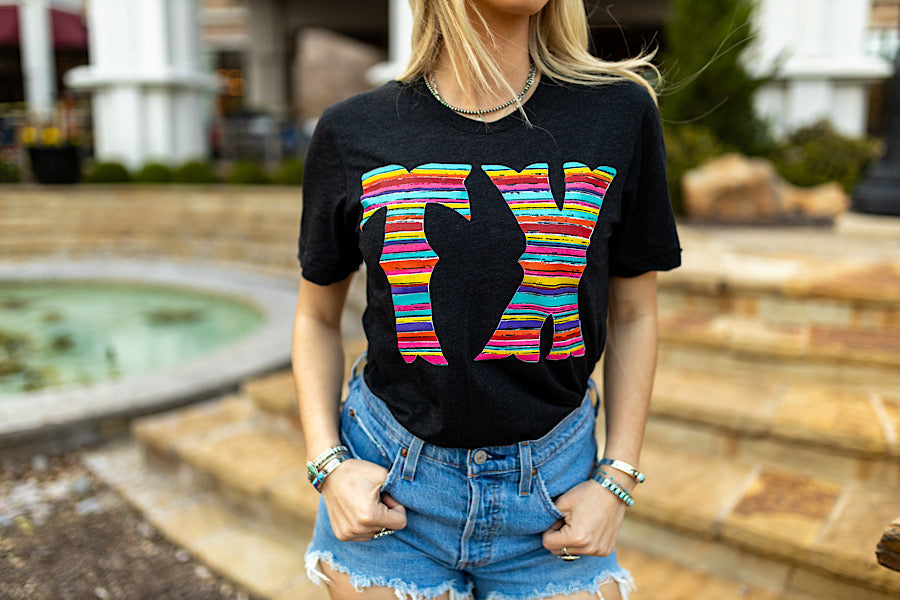 Barbara's Serape TX Tee🩷