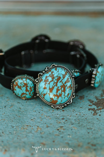 Show Stopper Belt