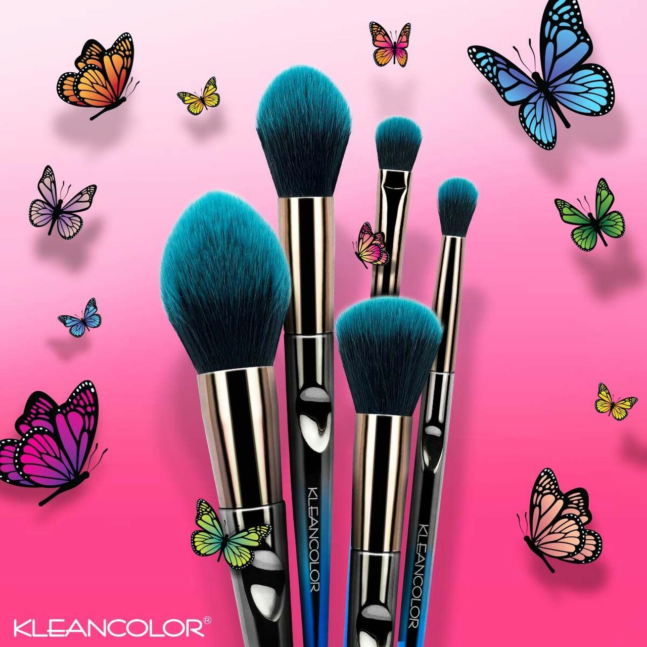 Butterfly Brush Set